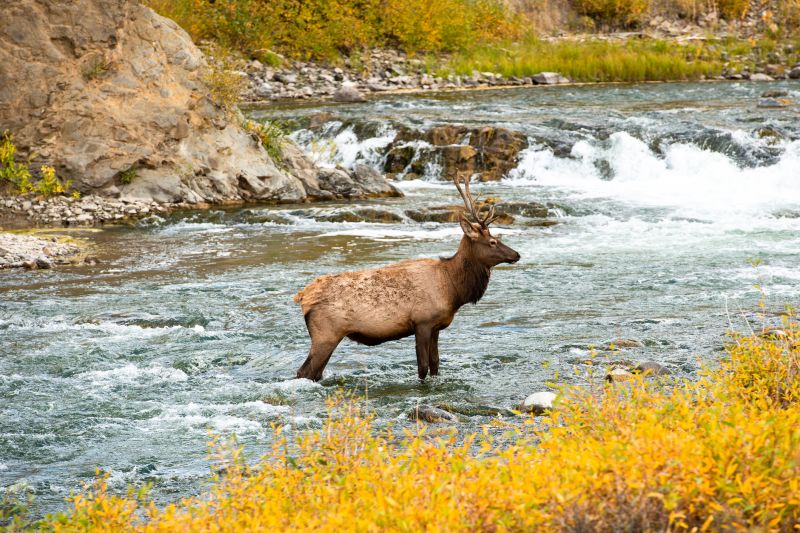 Best Bathroom Remodeling pros in Tyngsboro, MA